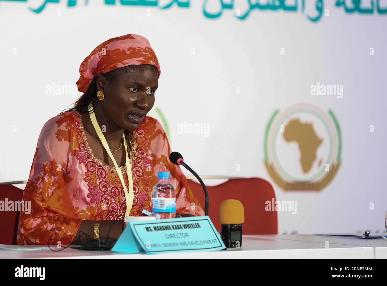 KIGALI, le 15 juillet 2016 -- Mahawa Kaba Wheeler, directrice du département femmes, genre et développement à la Commission de l'Union africaine (CUA), prend la parole lors d'une conférence de presse à Kigali, capitale du Rwanda, le 15 juillet 2016. L ' Union africaine (UA) a appelé à l ' inclusion et à l ' autonomisation des femmes africaines alors que le continent définit des stratégies pour réaliser ses objectifs d ' action 2063. RWANDA-KIGALI-UA SOMMET POUR L'AUTONOMISATION DES FEMMES AFRICAINES PanxSiwei PUBLICATIONxNOTxINxCHN Kigali juillet 15 2016 KABA Wheeler Directrice des femmes Genre et développement À la Commission de l'Union africaine la CUA s'exprime lors d'une conférence de presse à Kigali capitale Banque D'Images