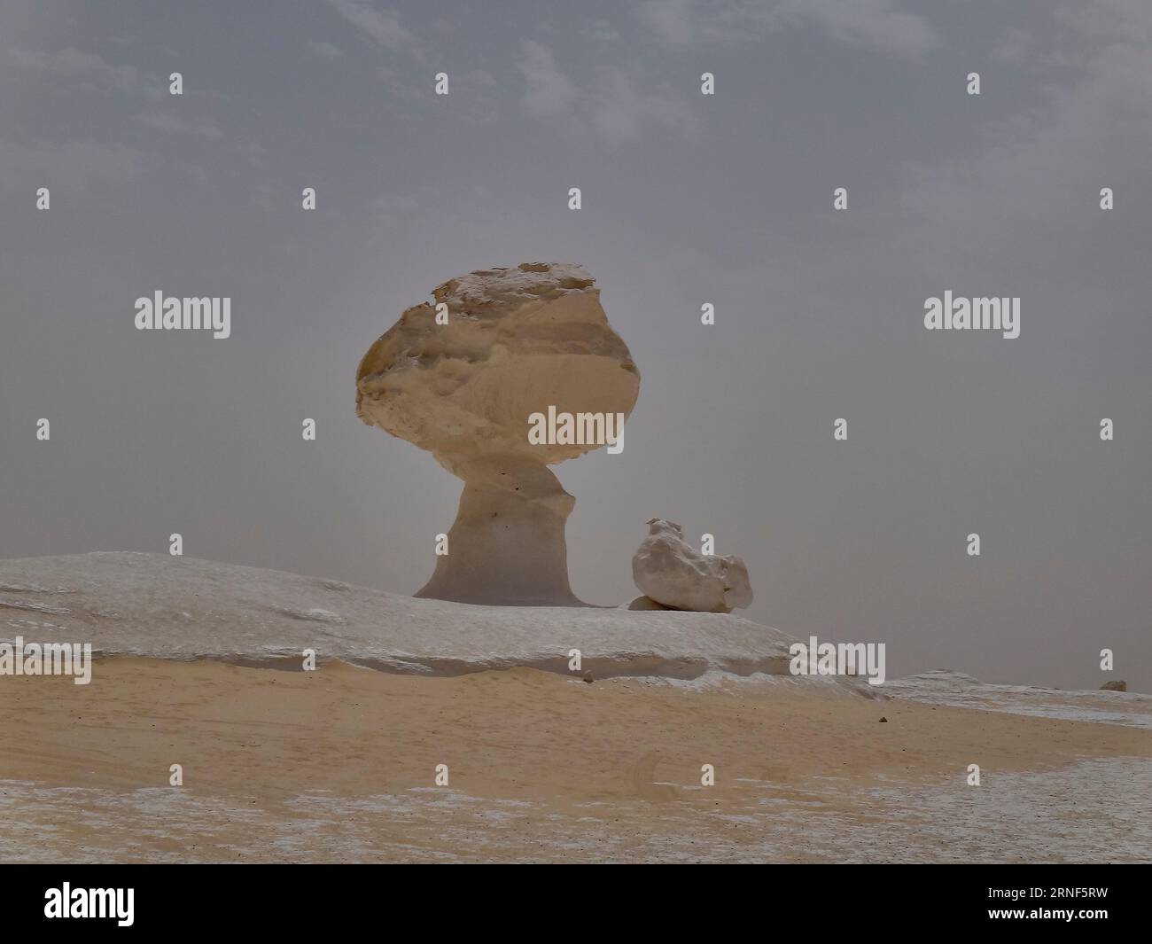 Vaste paysage de la région sèche et aride du désert blanc en Egypte avec des formations rocheuses bizarres causées par l'érosion éolienne. Banque D'Images