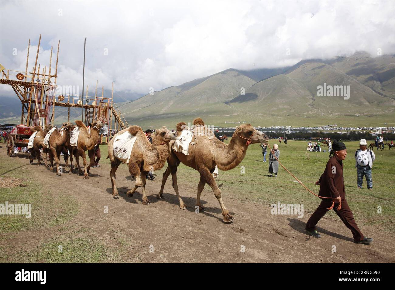 (160906) -- CHOLPON-ATA, 6 septembre 2016 -- une caravane de chameaux chinoise participe aux deuxièmes Jeux mondiaux nomades qui se tiennent à Cholpon-ATA, Kirghizistan, le 6 septembre 2016. Les deuxièmes Jeux mondiaux nomades, du 3 au 8 septembre, rassembleront environ 500 athlètes dans 26 sports. )(axy) KYRGYZSTAN-CHOLPON-ATA-NOMAD GAMES-CHINESE CARAVAN RomanxGainanov PUBLICATIONxNOTxINxCHN 160906 26 Cholpon ATA sept 6 2016 la caravane chameau chinoise participe aux deuxièmes Jeux mondiaux nomades héros à Cholpon ATA Kirghizistan sept 500 les deuxièmes Jeux mondiaux nomades du 3 au 8 septembre seront suivis par environ 6 2016 athlètes sports axy Kyr Banque D'Images