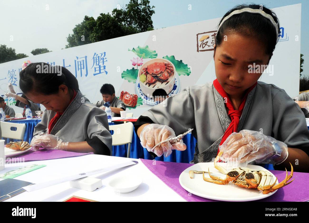 SUZHOU, le 23 septembre 2016 -- les enfants goûtent aux crabes chinois à moufles lors d'un festival de récolte de crabe du lac Yangcheng à Suzhou, dans la province du Jiangsu, dans l'est de la Chine, le 23 septembre 2016. La saison de récolte 2016 pour le crabe moufle chinois (Eriocheir sinensis) dans le lac Yangcheng, une importante région productrice, a débuté vendredi. Aussi connu sous le nom de grand crabe d'écluse, les crabes chinois à moufles sont appréciés par de nombreux amateurs de gourmets. (wx) CHINA-JIANGSU-YANGCHENG LAKE-CHINESE MOUFLES CRABE-MOISSON (CN) JixChunpeng PUBLICATIONxNOTxINxCHN Suzhou sept 23 2016 enfants bouton crabes moyens chinois pendant un festival de récolte de crabe de T Banque D'Images