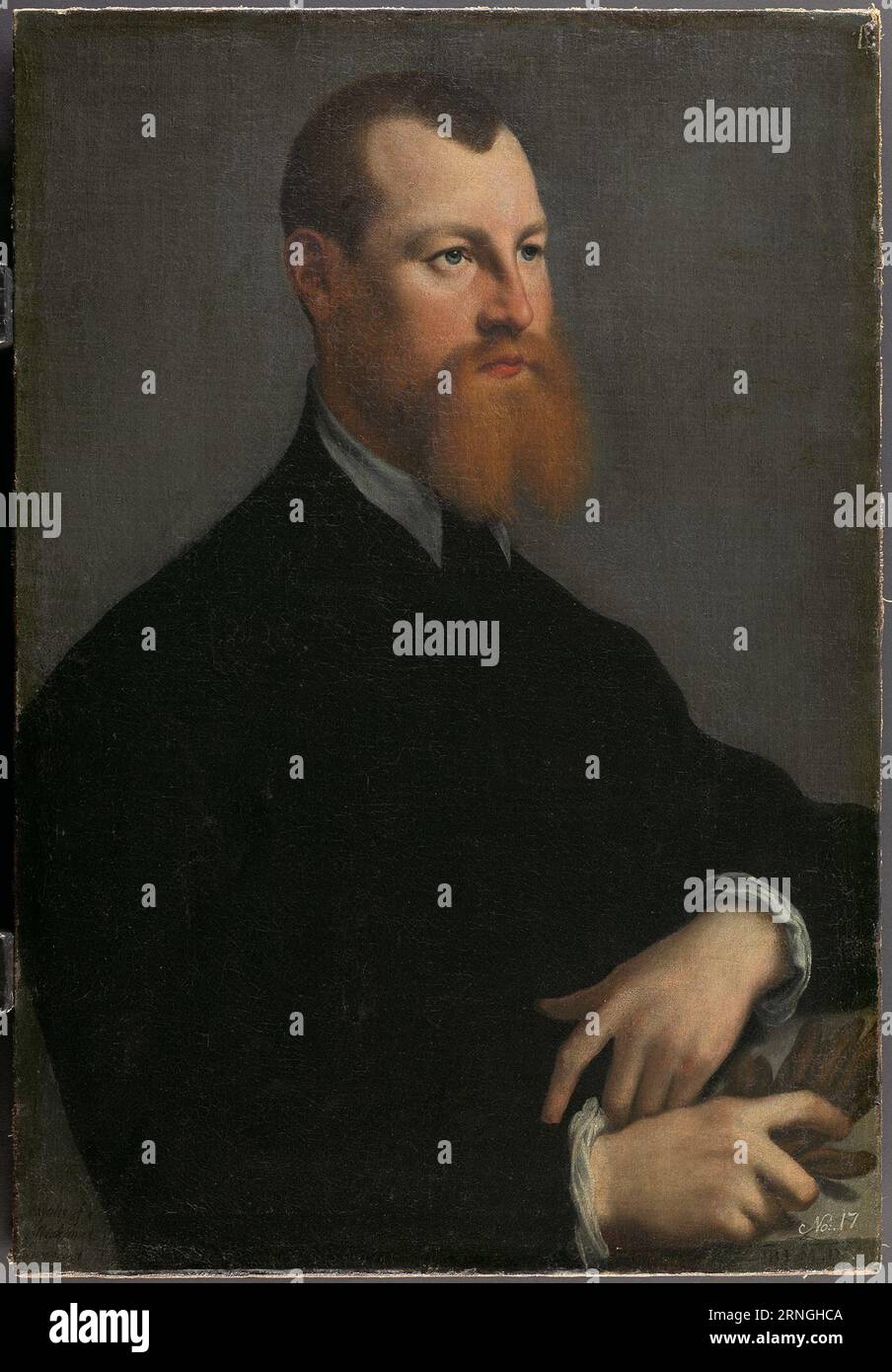 Portrait de Sigismond Auguste (1520-1572) avec gants des années 1540 par Jan van Calcar Banque D'Images