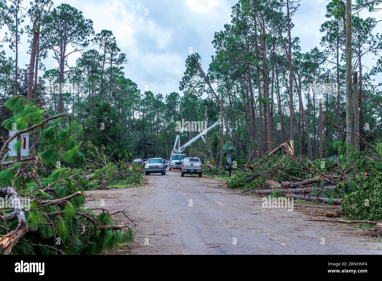 Perry, États-Unis. 01 septembre 2023. Les travailleurs des services publics commencent le processus d'installation de nouveaux poteaux électriques et de cordage de lignes électriques à la suite de l'ouragan Idalia, le 1 septembre 2023 à Perry, en Floride. La petite ville de 7 000 000 habitants a été écrasée par l'ouragan Idalia qui a déchiré des arbres et détruit des maisons. Crédit : Steve Zumwalt/FEMA/Alamy Live News Banque D'Images