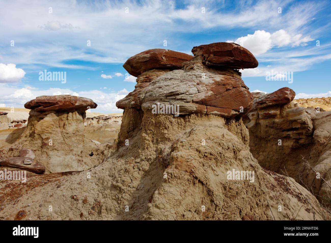 La zone d'étude de la nature sauvage Ah-Shi-SLE Pah possède certaines des meilleures formations hoodoo dans les collines d'argile sculptées dans l'eau des badlands du Nouveau-Mexique Banque D'Images