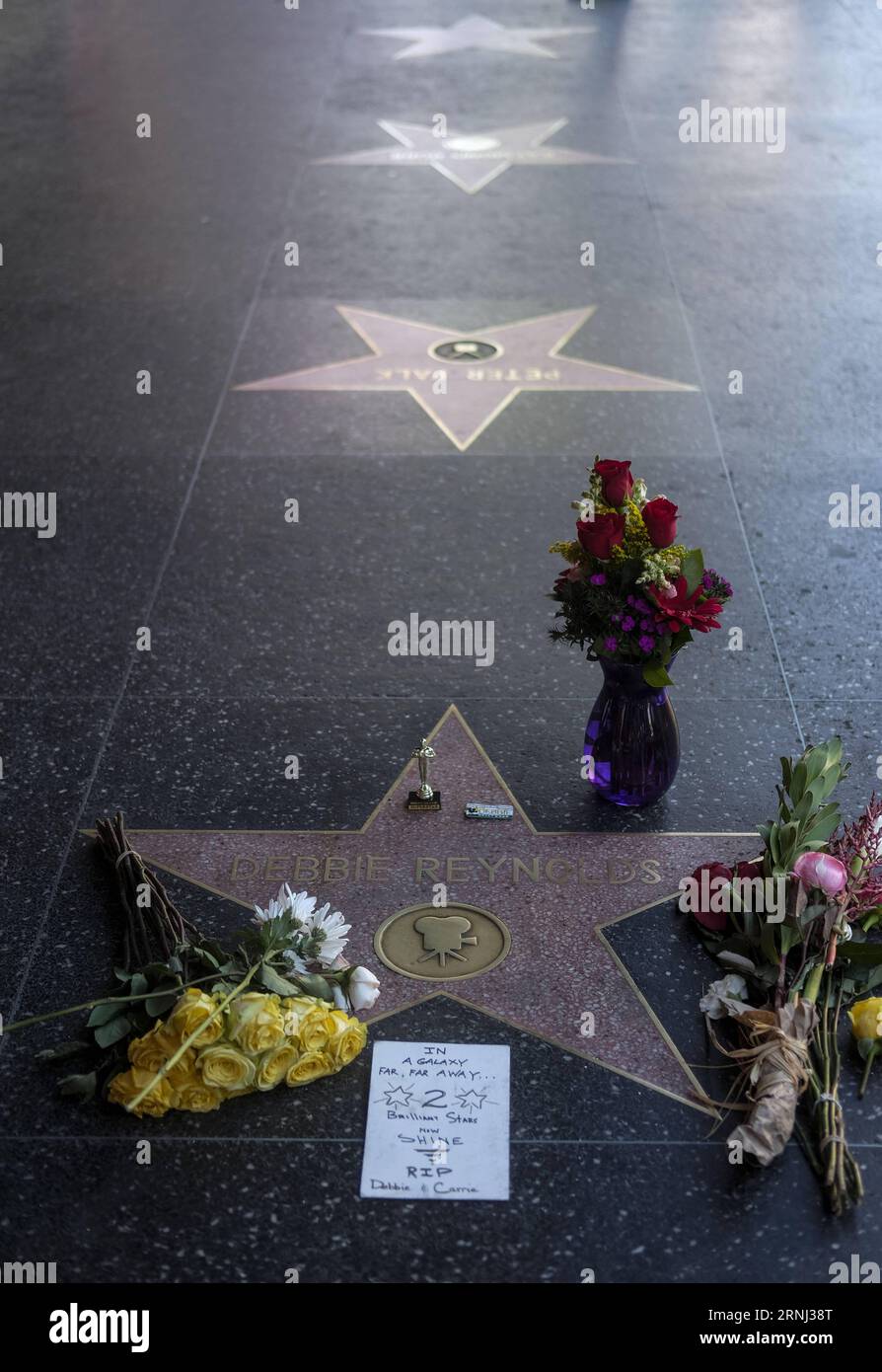 LOS ANGELES, le 29 décembre 2016 -- des fleurs et des bougies entourent la star du Hollywood Walk of Fame de Debbie Reynolds, à Los Angeles, Californie, États-Unis, le 29 décembre, 2016. la star hollywoodienne Debbie Reynolds est décédée d'un accident vasculaire cérébral mercredi à l'âge de 84 ans, un jour après la mort de sa fille Carrie Fisher. Carrie Fisher, l'actrice la plus connue sous le nom de Princesse Leia dans la franchise Star Wars, est décédée à l'âge de 60 ans mardi matin, après avoir souffert d'une crise cardiaque sur un vol vendredi dernier. (ZW) U.S.-LOS ANGELES-DEBBIE REYNOLDS-CARRIE FISHER-WALK OF FAME-CONSOLENCE ZHAOXHANRONG PUBLICATIONXNOTXINXCHN Banque D'Images