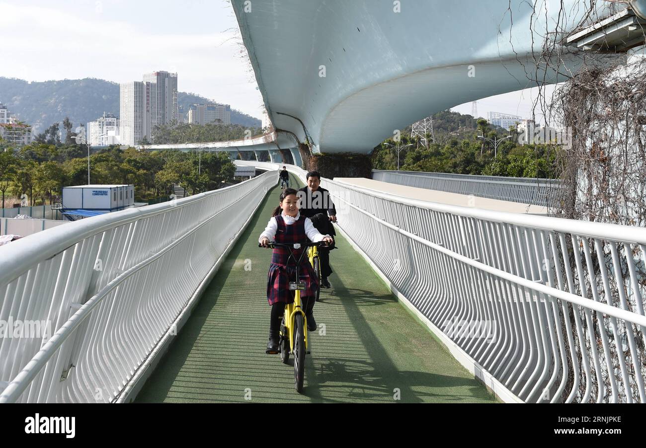 (170209) -- XIAMEN, 9 février 2017 -- des citoyens empruntent une piste cyclable surélevée à Xiamen, dans la province du Fujian du sud-est de la Chine, 9 février 2017. La première piste cyclable de Chine dans les airs, d une longueur de 7,6 kilomètres, a commencé une course d essai le 26 janvier à Xiamen. Selon Xiamen City public Bicycle Management, le sentier sera ouvert à tous les types de vélos, y compris les vélos publics et privés, de 6:30 heures à 10:30 heures pendant le mois d’essai, dans le but de promouvoir le transport vert. ) (MCG) CHINA-FUJIAN-XIAMEN-ELEVATED BICYCLE PATH (CN) LinxShanchuan PUBLICATIONxNOTxINxCHN Xiamen fév 9 2017 citoyens Banque D'Images