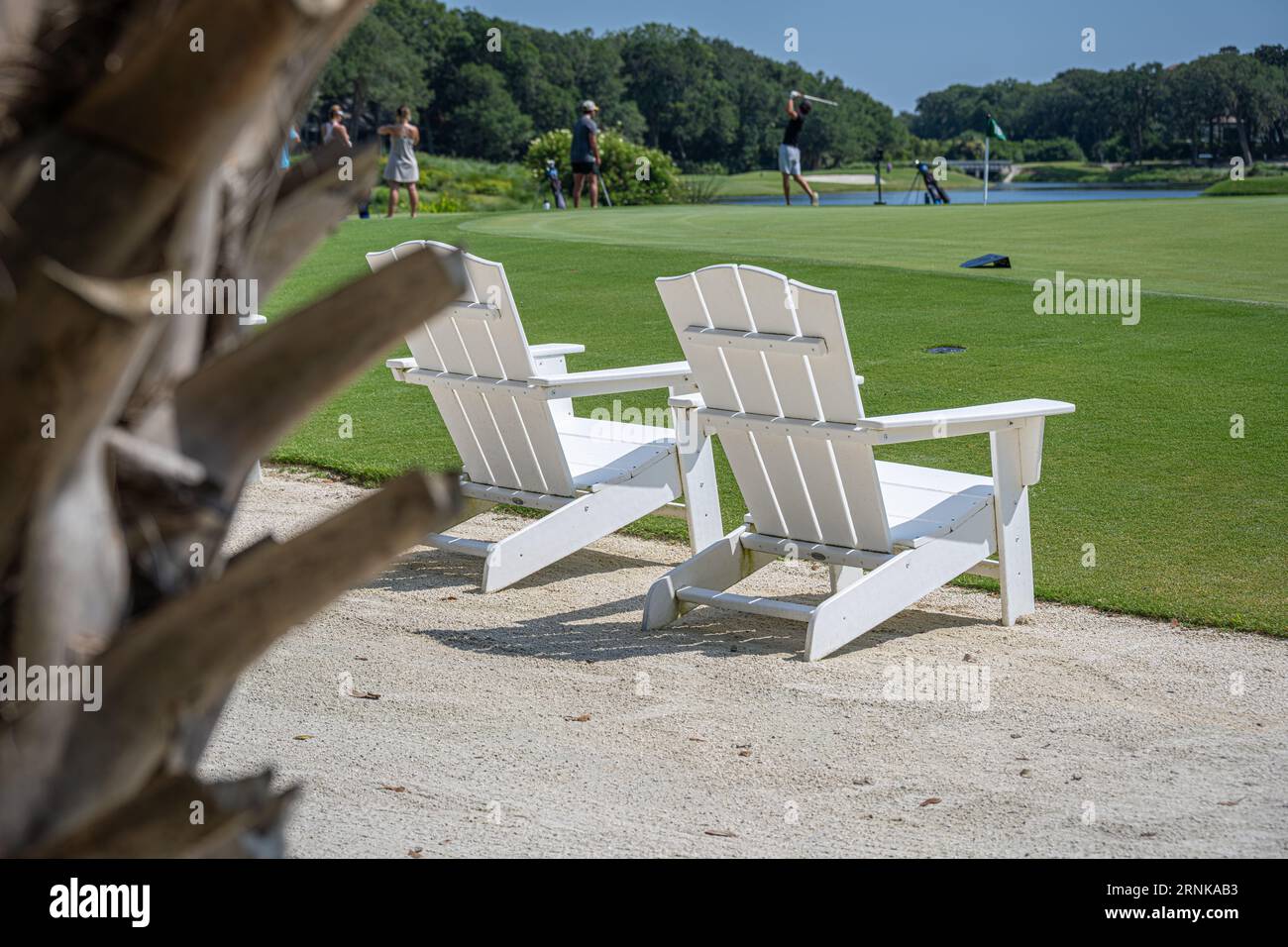 Golfeurs profitant d'une belle journée d'été sur le Little Sandy Short course à l'Omni Amelia Island Resort sur Amelia Island dans le nord-est de la Floride. (ÉTATS-UNIS) Banque D'Images
