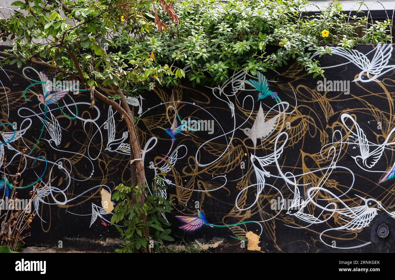 (170330) -- SAO PAULO, 30 mars 2017 -- une photo prise le 29 mars 2017 montre un mur avec des graffitis à la Batman s Alley à Sao Paulo, Brésil. Batman s Alley est une destination touristique populaire en raison de la forte concentration de graffitis qui bordent les rues.) (Sxk) BRÉSIL-SAO PAULO-GRAFFITI LixMing PUBLICATIONxNOTxINxCHN Sao Paulo Mars 30 2017 photo prise LE 29 2017 Mars montre un mur avec graffiti À la Batman S Alley à Sao Paulo Brésil Batman S Alley EST une destination touristique populaire en raison de la concentration dense de Graffiti Thatcher Line les rues sxk Brésil Sao Paulo Graffiti Banque D'Images