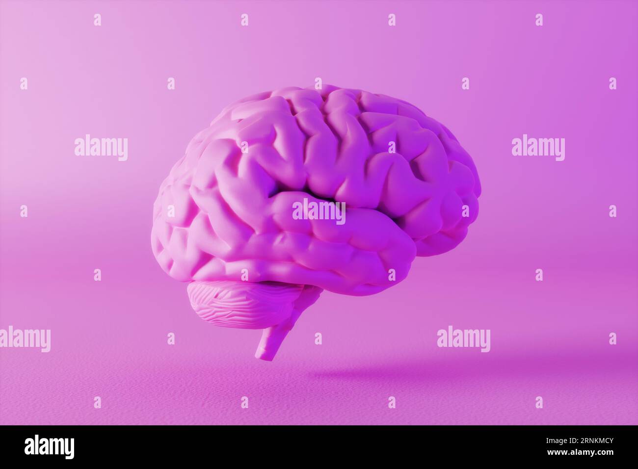 Rendu 3D d'un cerveau humain de femme rose sur fond rose. Concept pour l'intuition et l'intelligence des femmes et des filles en sciences médicales et neurologiques. Banque D'Images