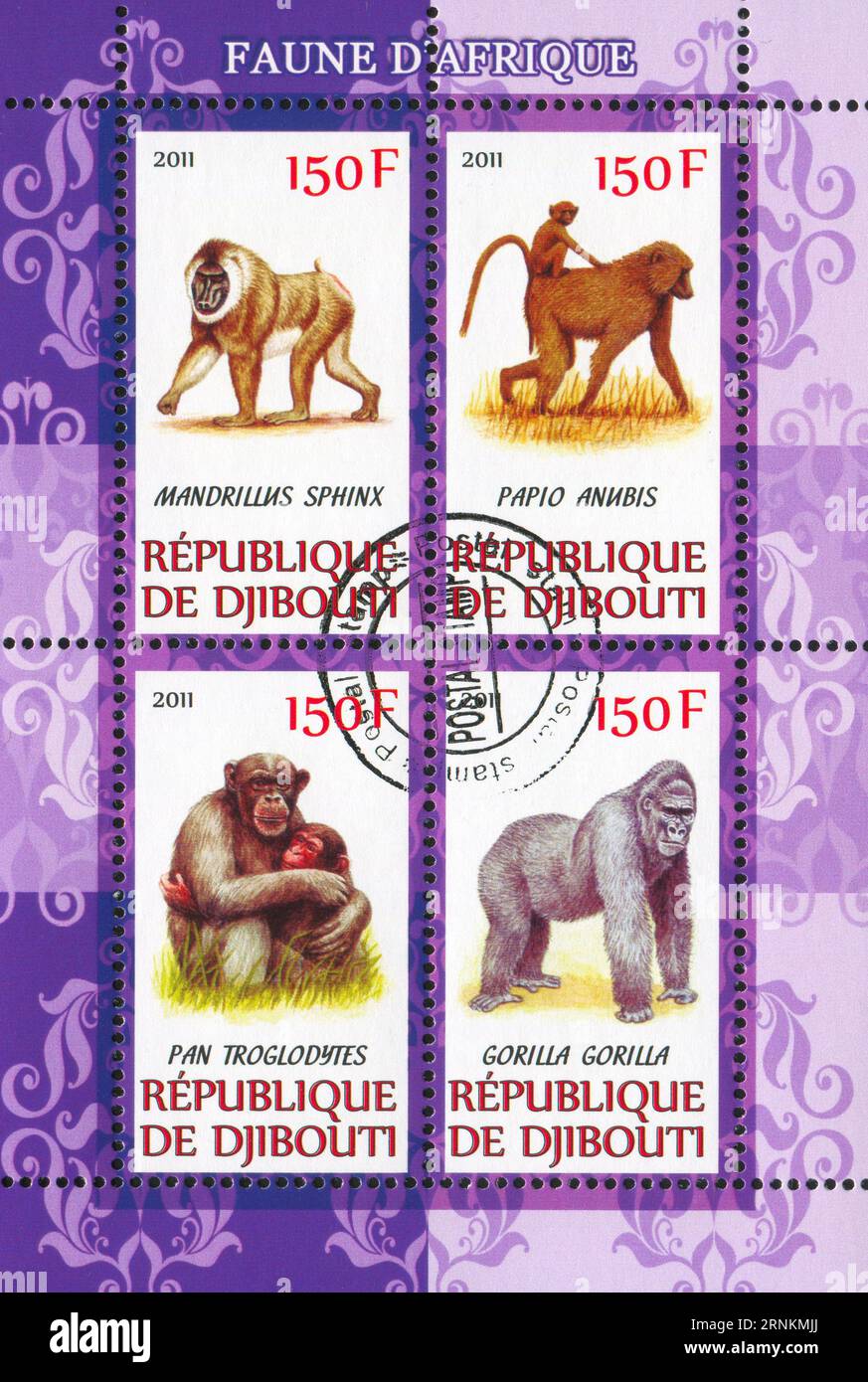 DJIBOUTI - CIRCA 2011 : timbre imprimé par Djibouti, montre singe, circa 2011 Banque D'Images