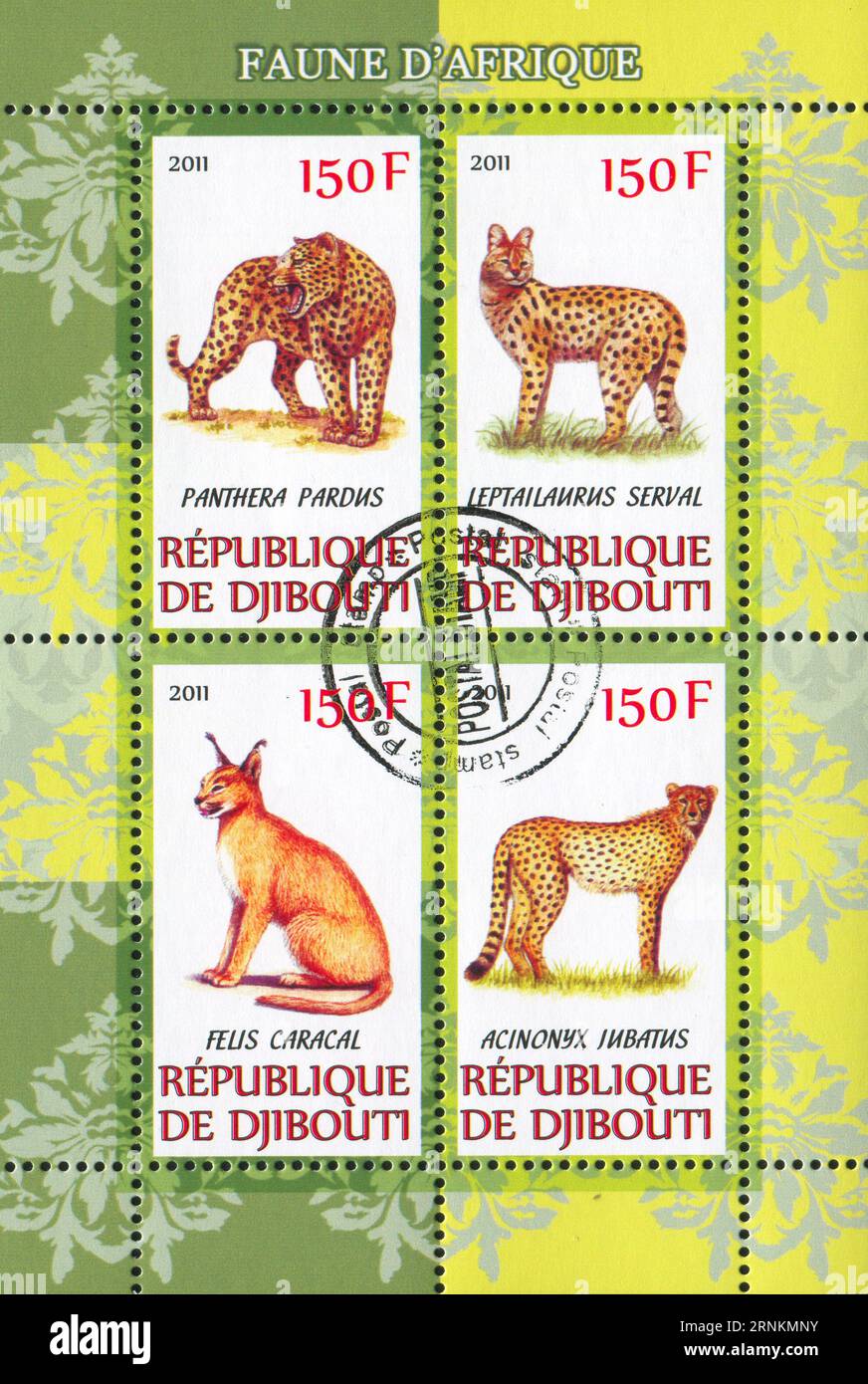 DJIBOUTI - CIRCA 2011 : timbre imprimé par Djibouti, montre animal, circa 2011 Banque D'Images