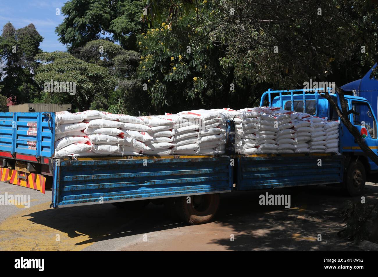 (170421) -- HARARE, le 21 avril 2017 -- Un camion s'apprête à acheminer des vivres vers les régions touchées par les inondations du Zimbabwe à Harare, capitale du Zimbabwe, le 20 avril 2017. L'ambassade de Chine au Zimbabwe a remis jeudi plus de 60 000 dollars américains de nourriture de base pour aider des centaines de familles locales touchées par les inondations qui ont frappé le sud du pays en février. ZIMBABWE-HARARE-FLOOD-CHINA-FOOD-DONATION ZhangxYuliang PUBLICATIONxNOTxINxCHN Harare avril 21 2017 un camion se prépare à transférer de la nourriture aux régions touchées par les inondations du Zimbabwe à Harare, capitale du Zimbabwe, LE 20 2017 avril Banque D'Images