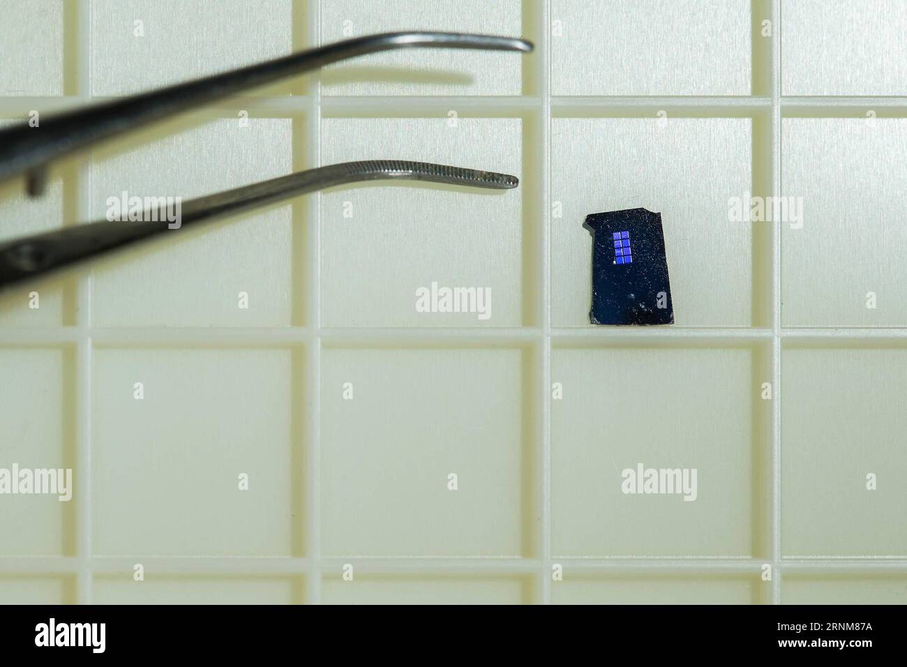 (170515) -- CANBERRA, 15 mai 2017 -- la photo non datée fournie par l'Australian National University () montre ce qu'on appelle le cerveau sur puce par des chercheurs de la Research School of Engineering de l' . Les chercheurs du ont développé une percée en permettant aux cellules du cerveau de croître et de former des circuits prévisibles dans un développement qui pourrait conduire à la création de prothèses pour l'organe vital. )(gl) AUSTRALIA-CANBERRA--BRAIN-CHIP ANU PUBLICATIONxNOTxINxCHN Canberra Mai 15 2017 la photo non datée fournie par l'Australian National University montre le Brain ON a Chip de Rese Banque D'Images