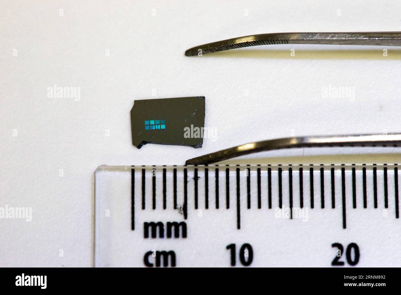 Themen der Woche Bilder des Tages (170515) -- CANBERRA, 15 mai 2017 -- la photo non datée fournie par l'Australian National University () montre ce qu'on appelle le cerveau sur puce par des chercheurs de la Research School of Engineering de l' . Les chercheurs du ont développé une percée en permettant aux cellules du cerveau de croître et de former des circuits prévisibles dans un développement qui pourrait conduire à la création de prothèses pour l'organe vital. )(gl) AUSTRALIA-CANBERRA--BRAIN-CHIP ANU PUBLICATIONxNOTxINxCHN sujets de la semaine Images le jour Canberra Mai 15 2017 la photo non datée fournie par l'Australi Banque D'Images