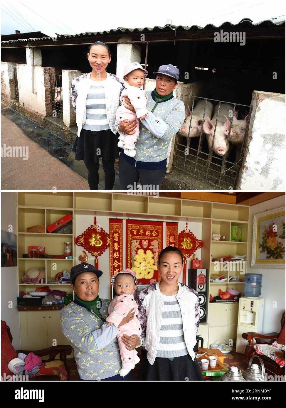 (170521) -- YUNLONG, 21 mai 2017 -- une photo combinée prise le 18 mai 2017 montre Yang Jianmei (à droite) avec sa belle-fille et son petit-fils dans leur élevage porcin (en haut) et dans leur nouvelle maison (en bas) au village de Jiaju dans le comté de Yunlong, province du Yunnan dans le sud-ouest de la Chine. La famille de cinq membres de Yang, élevant plus de 120 porcs maintenant, a obtenu un revenu net de plus de 200 000 yuans (29 000 dollars américains) en 2016. Pour améliorer les conditions de vie et les revenus des villageois frappés par la pauvreté, principalement du groupe ethnique Bai vivant de l'agriculture dans les montagnes, le gouvernement local a fondé la coopérative d'élevage de porcs en 2013 avec le soutien de c Banque D'Images
