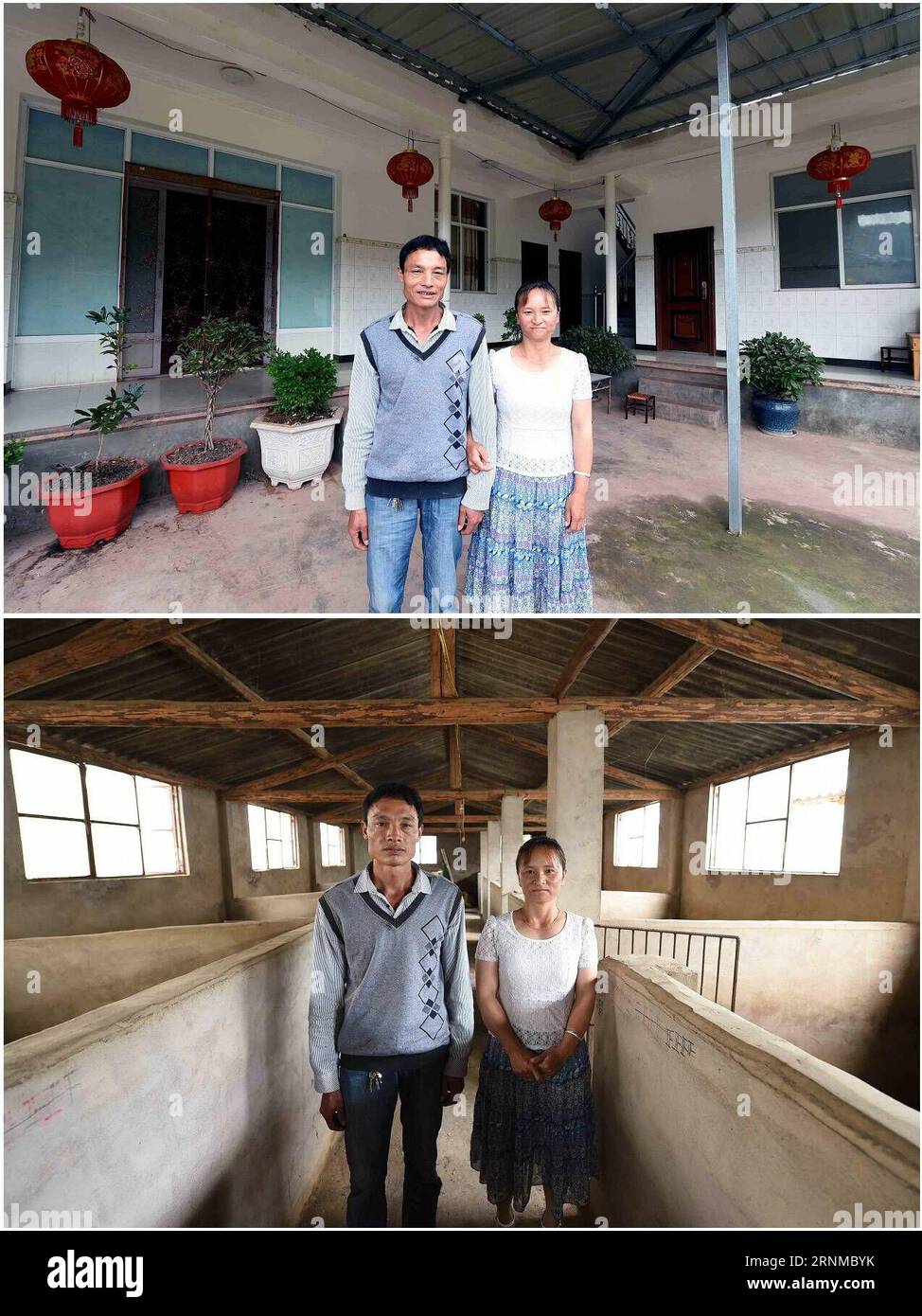 (170521) -- YUNLONG, 21 mai 2017 -- une photo combinée prise le 18 mai 2017 montre Chen Xiaodong avec sa femme Li Haixia dans leur maison (en haut) et dans leur élevage porcin (en bas) au village de Dabaoluo dans le comté de Yunlong, dans le sud-ouest de la Chine, province du Yunnan. La famille de quatre membres de Chen, élevant plus de 100 porcs maintenant, a obtenu un revenu net de plus de 200 000 yuans (29 000 dollars américains) en 2016. Pour améliorer les conditions de vie et les revenus des villageois frappés par la pauvreté, principalement du groupe ethnique Bai vivant de l agriculture dans les montagnes, le gouvernement local a fondé la coopérative d élevage de porcs en 2013 sous l appui de la pauvreté du pays A. Banque D'Images