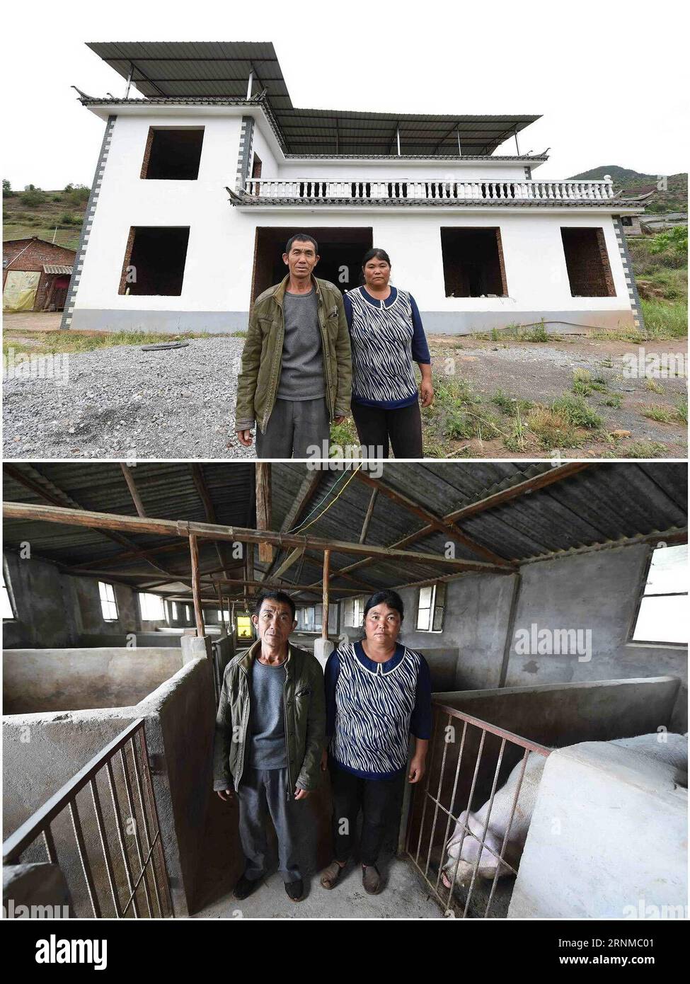 (170521) -- YUNLONG, 21 mai 2017 -- une photo combinée prise le 17 mai 2017 montre Yang Asong avec sa femme Yang Zengxiu devant leur maison en construction (en haut) et dans leur élevage porcin (en bas) dans le village de Longzitang du comté de Yunlong, dans la province du Yunnan au sud-ouest de la Chine. La famille de cinq membres de Yang, élevant près de 100 porcs maintenant, a obtenu un revenu net de près de 160 000 yuans (23 200 dollars américains) en 2016. Pour améliorer les conditions de vie et les revenus des villageois frappés par la pauvreté, principalement du groupe ethnique Bai vivant de l'agriculture dans les montagnes, le gouvernement local a fondé la coopérative d'élevage de porcs en 2013 Under Banque D'Images