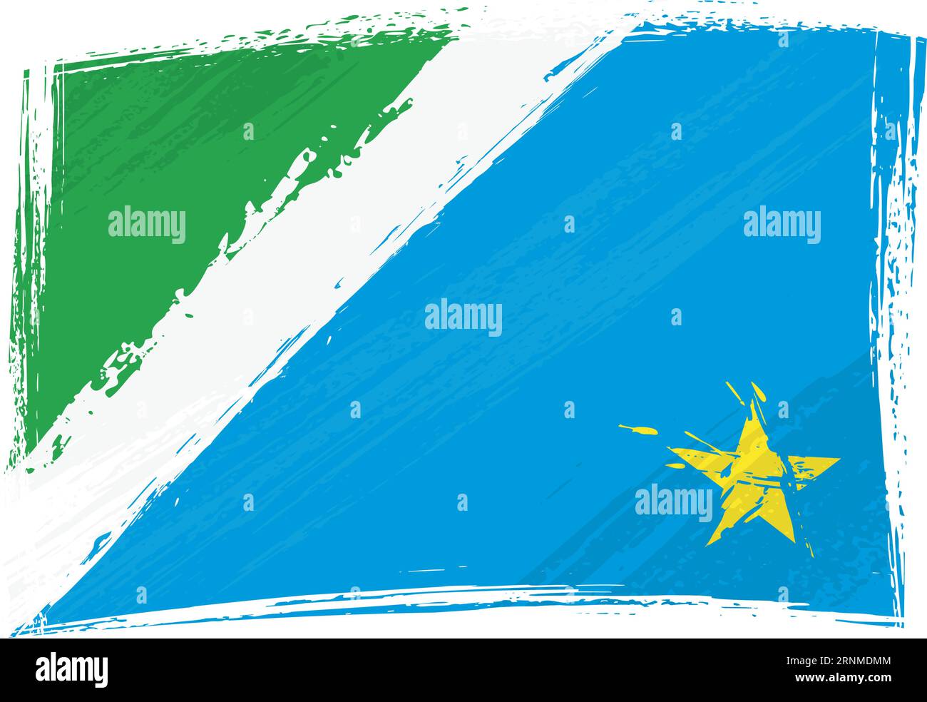 Grunge flag Mato Grosso do Sul Illustration de Vecteur