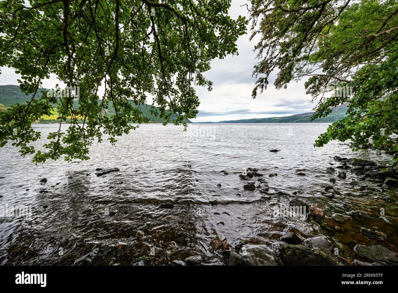Rivage du Loch Ness en Ecosse, plein de végétation et d'arbres, lac célèbre pour son monstre Nessi. Banque D'Images