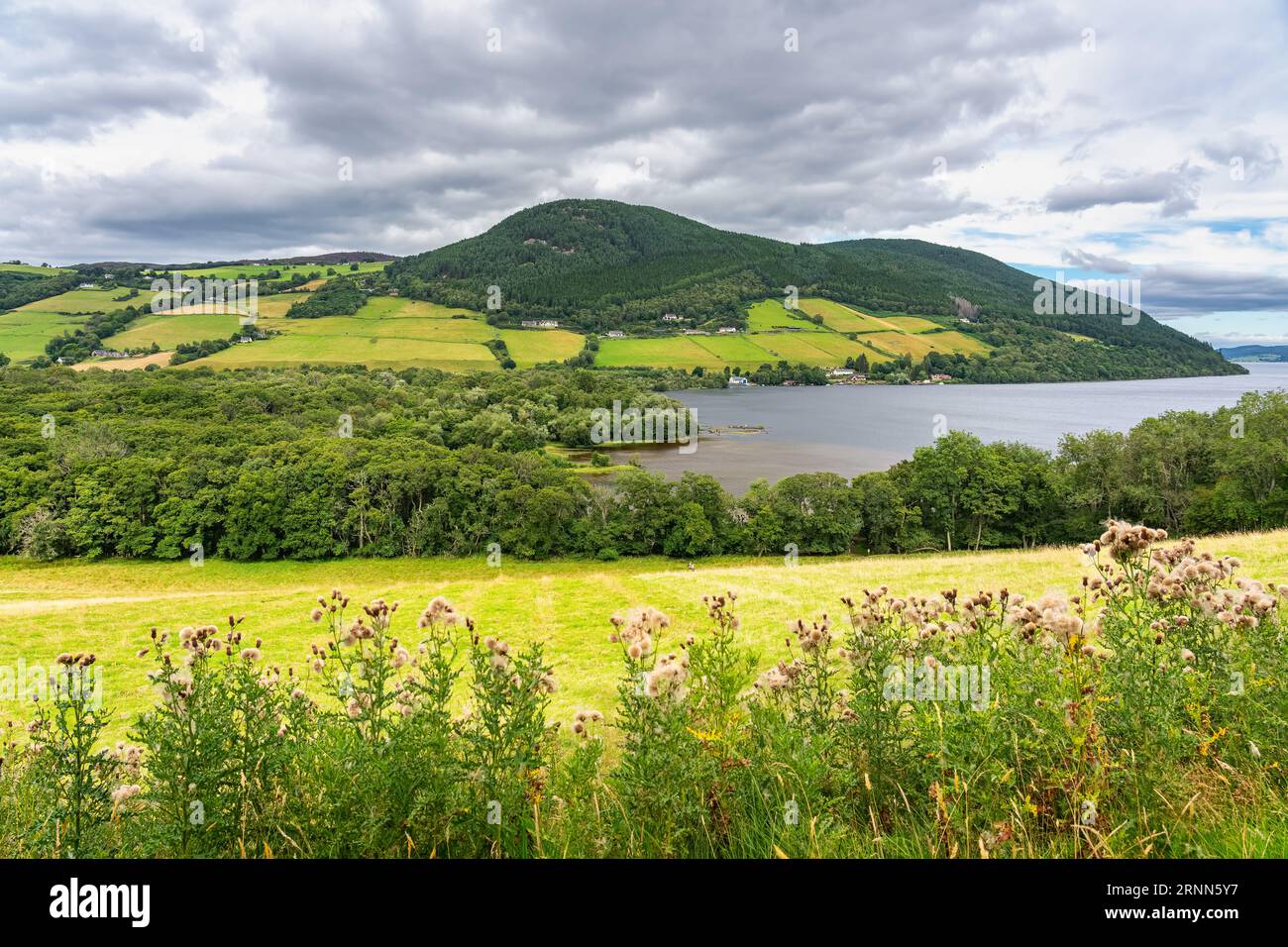 Paysage verdoyant du Loch Ness avec les montagnes entourant le loch plein d'arbres et de prairies, Écosse Banque D'Images