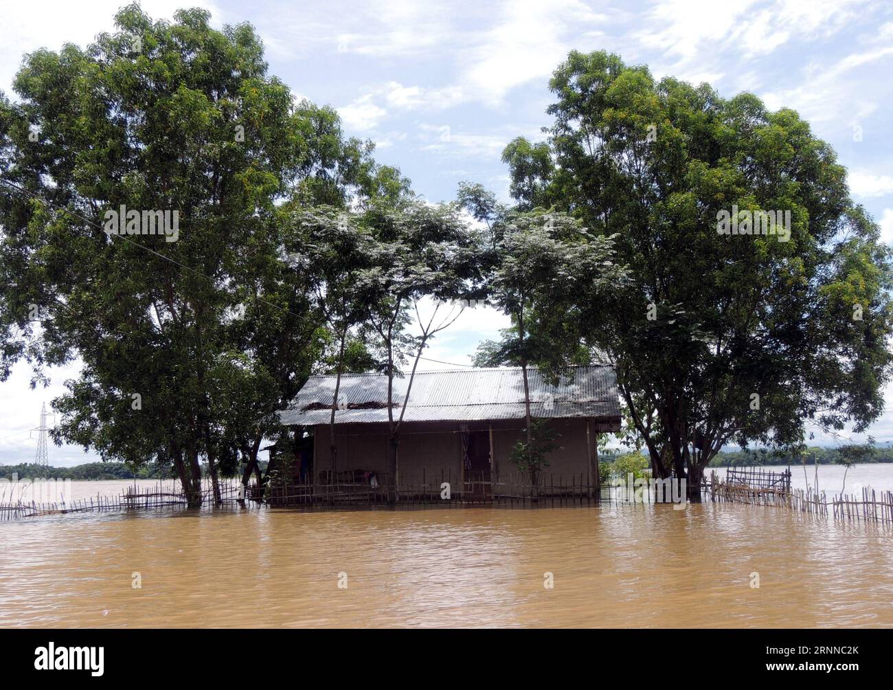 (170706) -- GOLAGHAT (INDE), 6 juillet 2017 () -- une photo prise le 6 juillet 2017 montre une zone inondée à Rajnakhat Boklai dans le district de Golaghat, dans le nord-est de l'État indien d'Assam. Des pluies continues depuis la semaine dernière ont frappé différents endroits du nord-est de l'Inde, provoquant des inondations et des glissements de terrain. (/Stringer) INDIA-GOLAGHAT-CONTINUOUS RAIN-FLOODS Xinhua PUBLICATIONxNOTxINxCHN Golaghat Inde juillet 6 2017 la photo prise LE 6 2017 juillet montre zone inondée dans le district de Golaghat Nord-est de l'État indien d'Assam la pluie continue depuis la semaine de chargement a frappé différents endroits du Nord-est de l'Inde causant des inondations et des glissements de terrain Banque D'Images