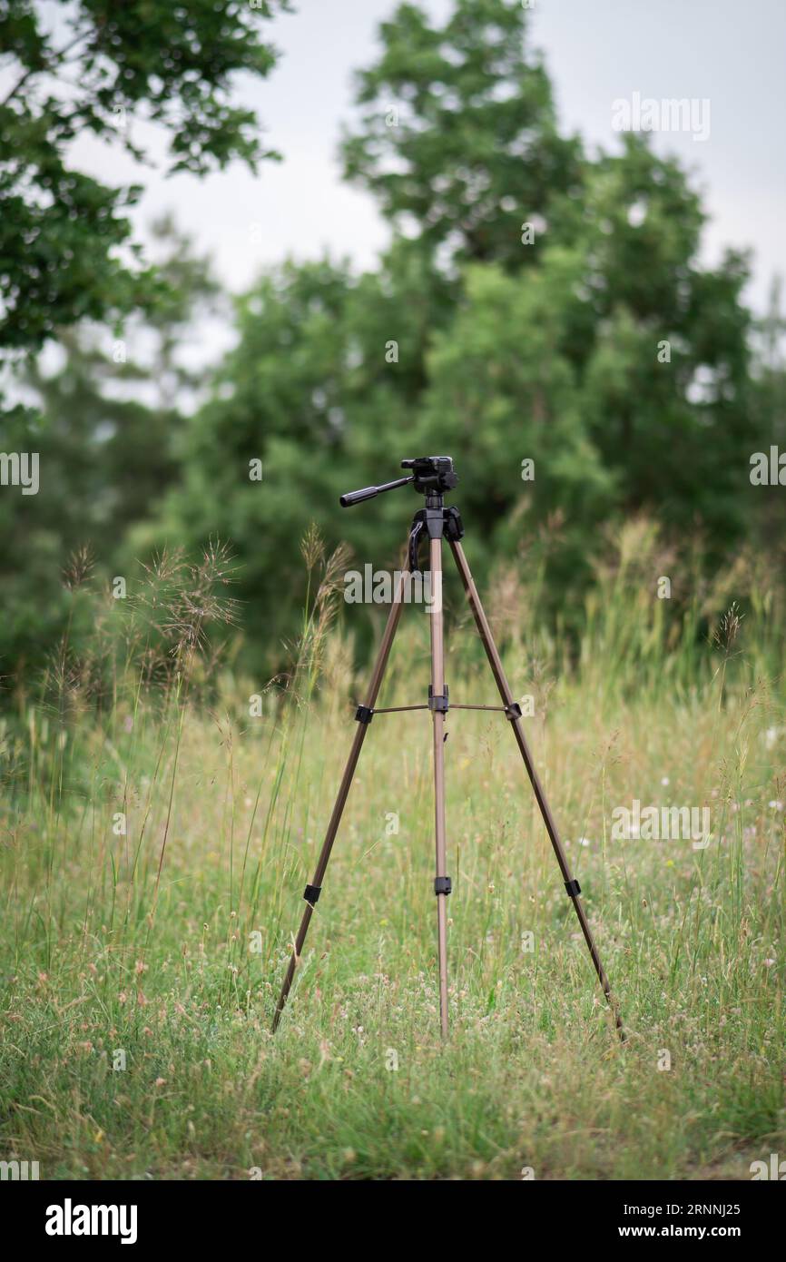 Trépied de caméra dans une grande herbe dans la forêt Banque D'Images