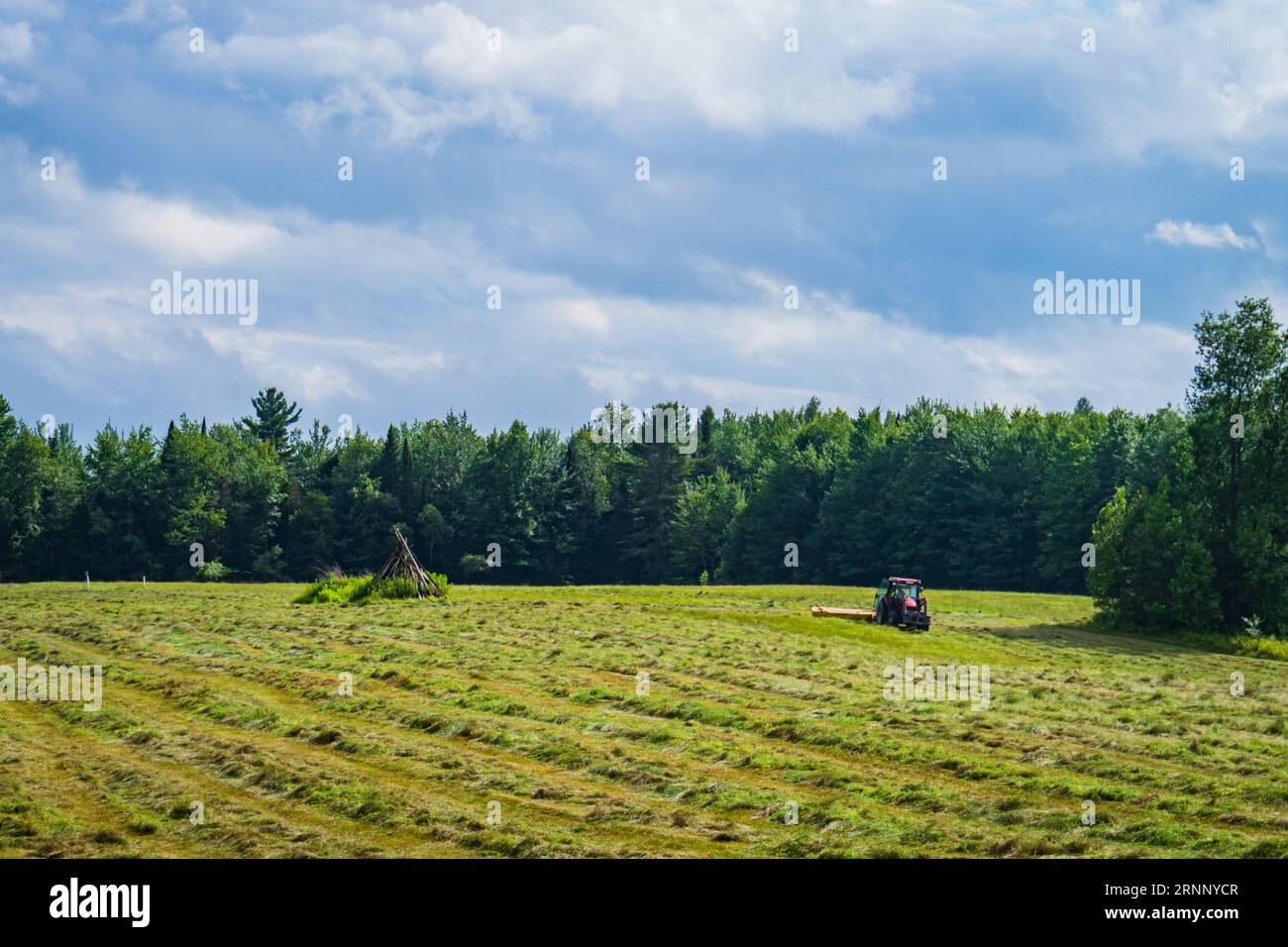Faucher du foin sur une ferme au Québec, Canada Banque D'Images