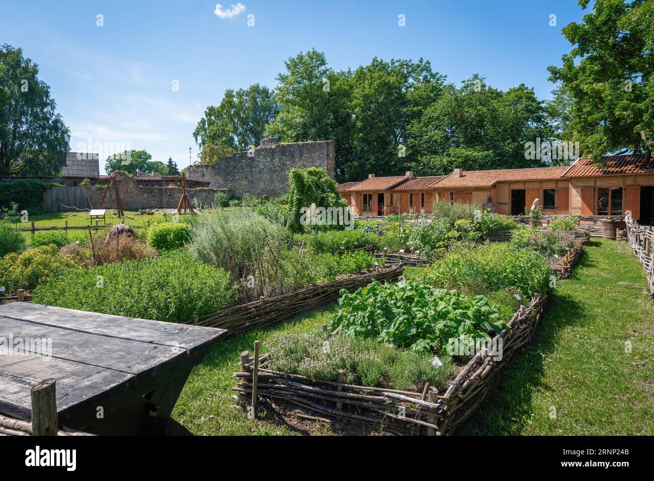 Jardin potager médiéval du château de Cesis zone d'activités médiévales - Cesis, Lettonie Banque D'Images