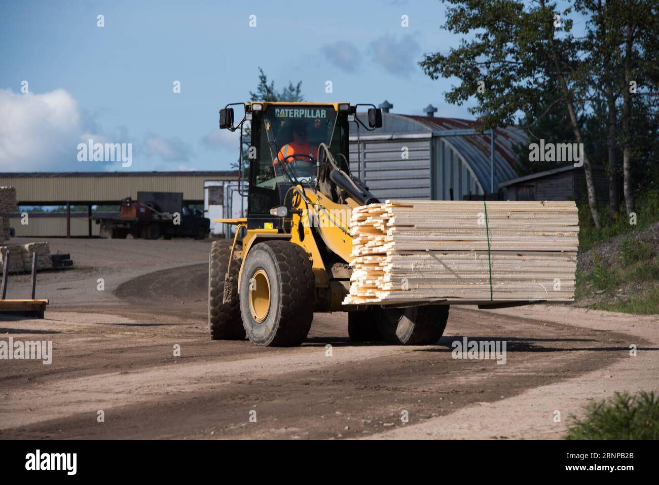 (170819) -- TORONTO (CANADA), le 19 août 2017 -- les planches à sécher sont transportées chez un fabricant de bois de la Murray Brothers Lumber Company, en Ontario, au Canada, le 16 août 2017. Les États-Unis ont ouvert mercredi la renégociation de l’Accord de libre-échange nord-américain (ALENA), vieux de 23 ans, avec une déclaration selon laquelle ils veulent des changements majeurs à l’accord qui modifient la balance commerciale. Toutefois, les propriétaires d’entreprises canadiennes espèrent que les négociateurs américains seront réceptifs au maintien, sinon à l’amélioration, de la circulation actuelle des marchandises et des travailleurs à la frontière. Les querelles sur le bois d'oeuvre résineux ont été un recul Banque D'Images