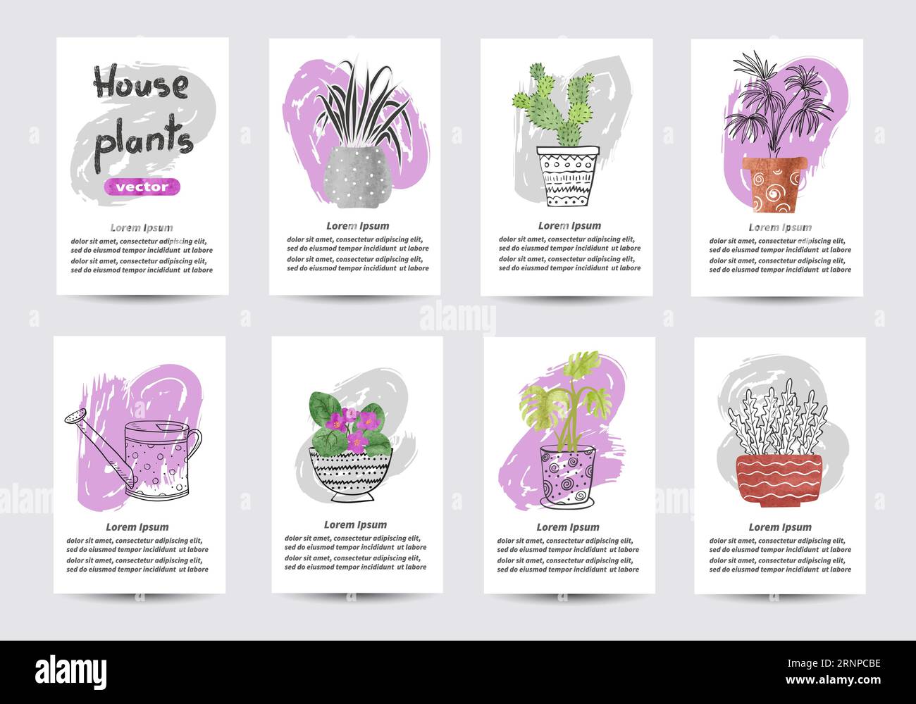 Plantes de maison en pots. Ensemble de modèles de cartes aquarelle avec des fleurs. Illustrations vectorielles Illustration de Vecteur