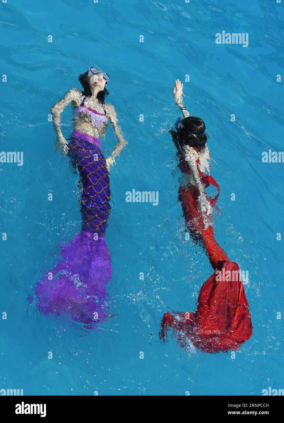 (170822) -- CHONGQING, 22 août 2017 -- les touristes nagent avec la queue de sirène au parc aquatique Yangrenjie à Chongqing, dans le sud-ouest de la Chine, le 22 août 2017. La température la plus élevée était de plus de 40 degrés Celsius dans de nombreuses parties de la municipalité de Chongqing mardi. (wsw) CHINE-CHONGQING-HAUTE TEMPÉRATURE (CN) WangxQuanchao PUBLICATIONxNOTxINxCHN Chongqing août 22 2017 touristes nagez avec des queues de sirène AU parc aquatique Yangrenjie à Chongqing Sud-Ouest de la Chine août 22 2017 la température la plus élevée s'élevait À plus de 40 degrés Celsius dans DE NOMBREUSES parties DE la municipalité de Chongqing LE mardi WSW Chine Chong Banque D'Images