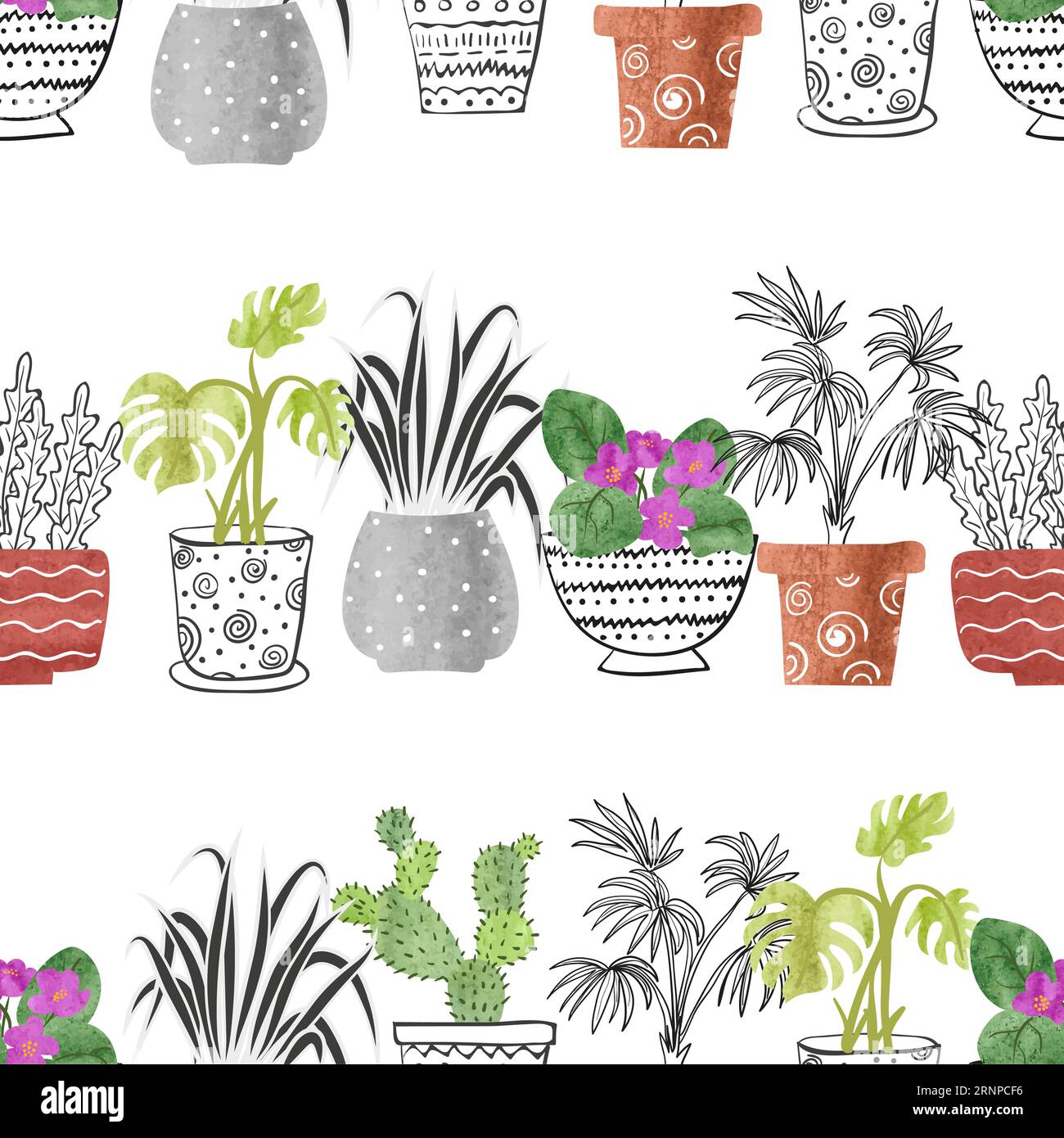 Aquarelle dessinée à la main plantes de maison dans les pots. Motif sans couture. Arrière-plan vectoriel Illustration de Vecteur