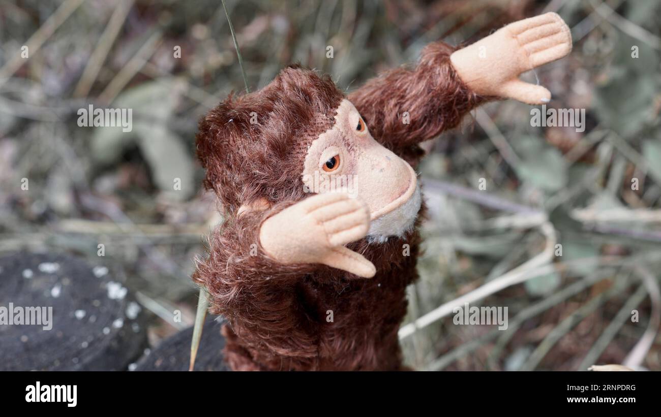 Un vieux singe jouet brun étirant ses bras. Banque D'Images