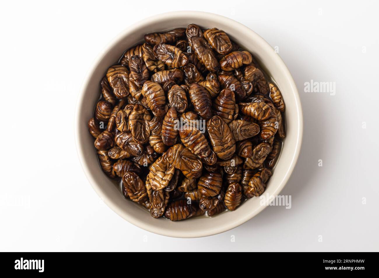 pupa mijotée sur un fond blanc Banque D'Images