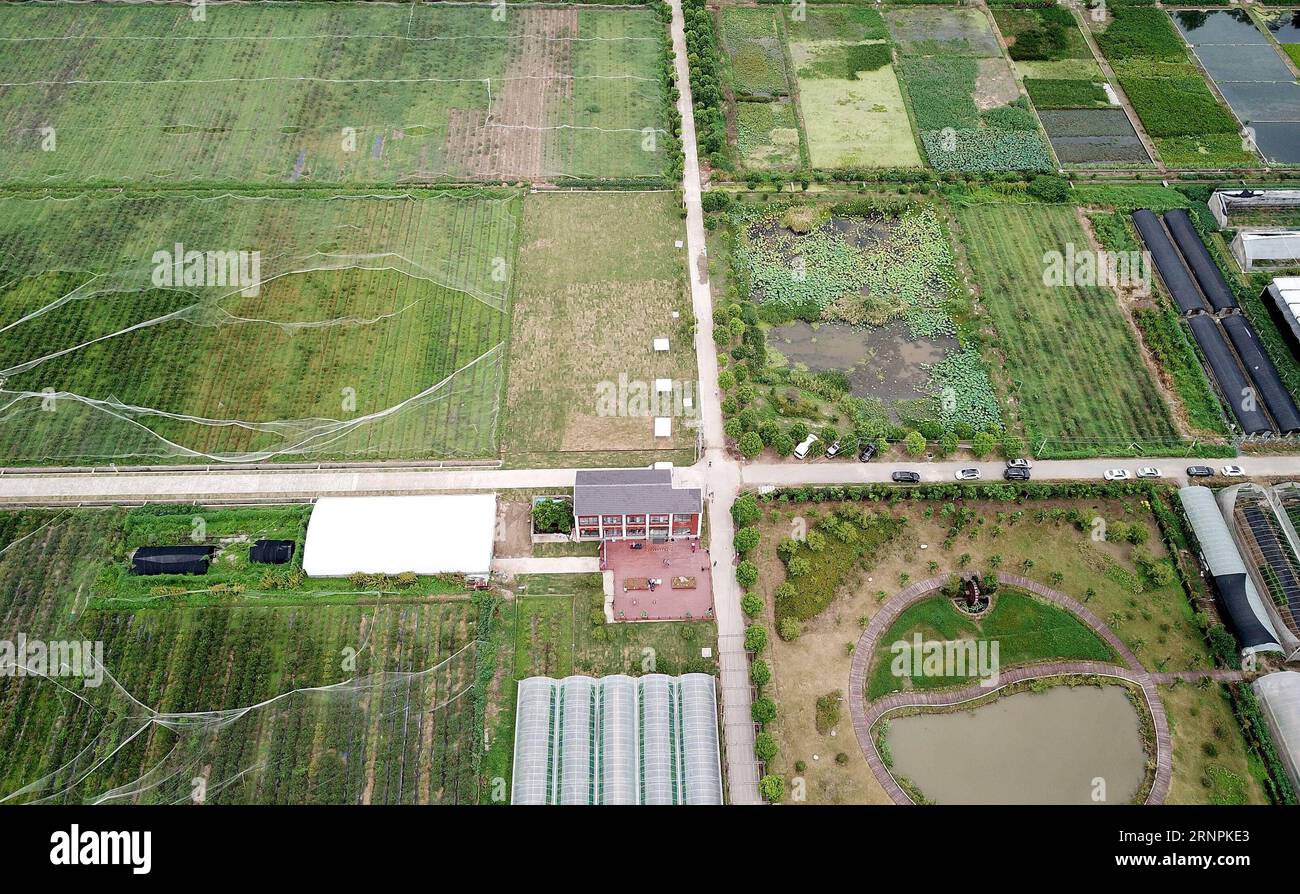 (170901) -- SHANGHAI, 1 septembre 2017 -- une photo aérienne prise le 31 août 2017 montre la première base de vol d essai de la Chine pour drones civils au parc agricole moderne de Qingpu à Shanghai, dans l est de la Chine. La première base de vol d’essai pour drones civils a ouvert ses portes jeudi à Shanghai, selon l’Administration régionale de l’Administration de l’aviation civile de Chine de l’est (CAAC). Les drones sont tenus de voler à moins de 150 mètres et tous les vols d'essai sont surveillés pour la sécurité dans la base. ) (Ry) CHINA-SHANGHAI-FLIGHT BASE-DRONES (CN) FangxZhe PUBLICATIONxNOTxINxCHN Shanghai sept 1 2017 photo aérienne prise LE Banque D'Images