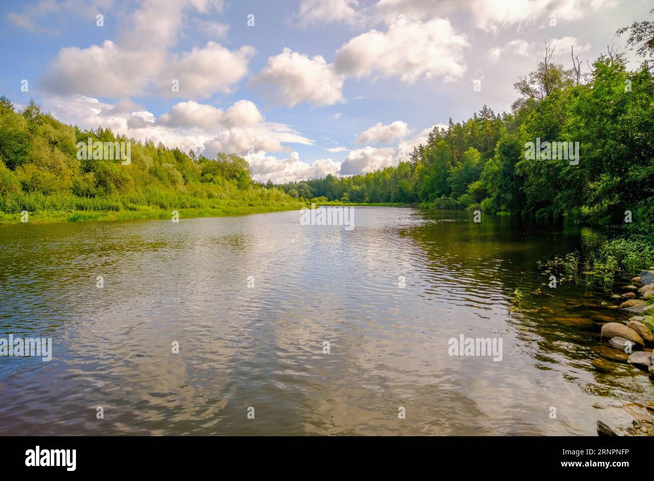 Gauja, la plus longue rivière de Lettonie. Une journée d'été au bord de la rivière. Banque D'Images