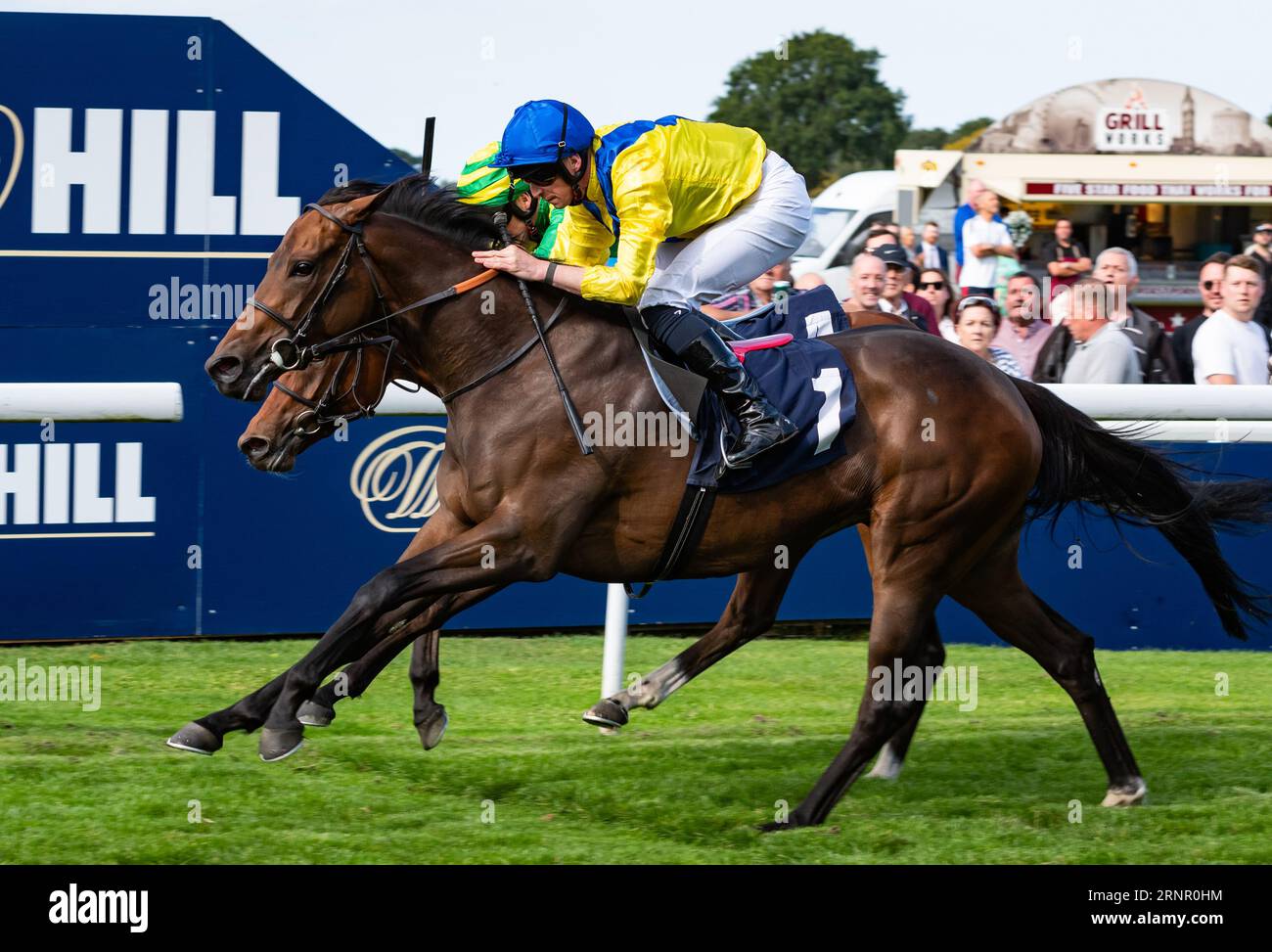 Beverley Racecourse, Beverley, Royaume-Uni, samedi 2 septembre 2023. Zenjabeela et le jockey Jack Mitchell en font un double pour le jockey et entraîneur Roger Varian en remportant le prix IRE-Incentive IT pays to Buy Irish EBF Filliess' novice Stakes pour le propriétaire Sheikh Mohammed bin Khalifa Al Maktoum. Crédit JTW Equine Images / Alamy Live News Banque D'Images