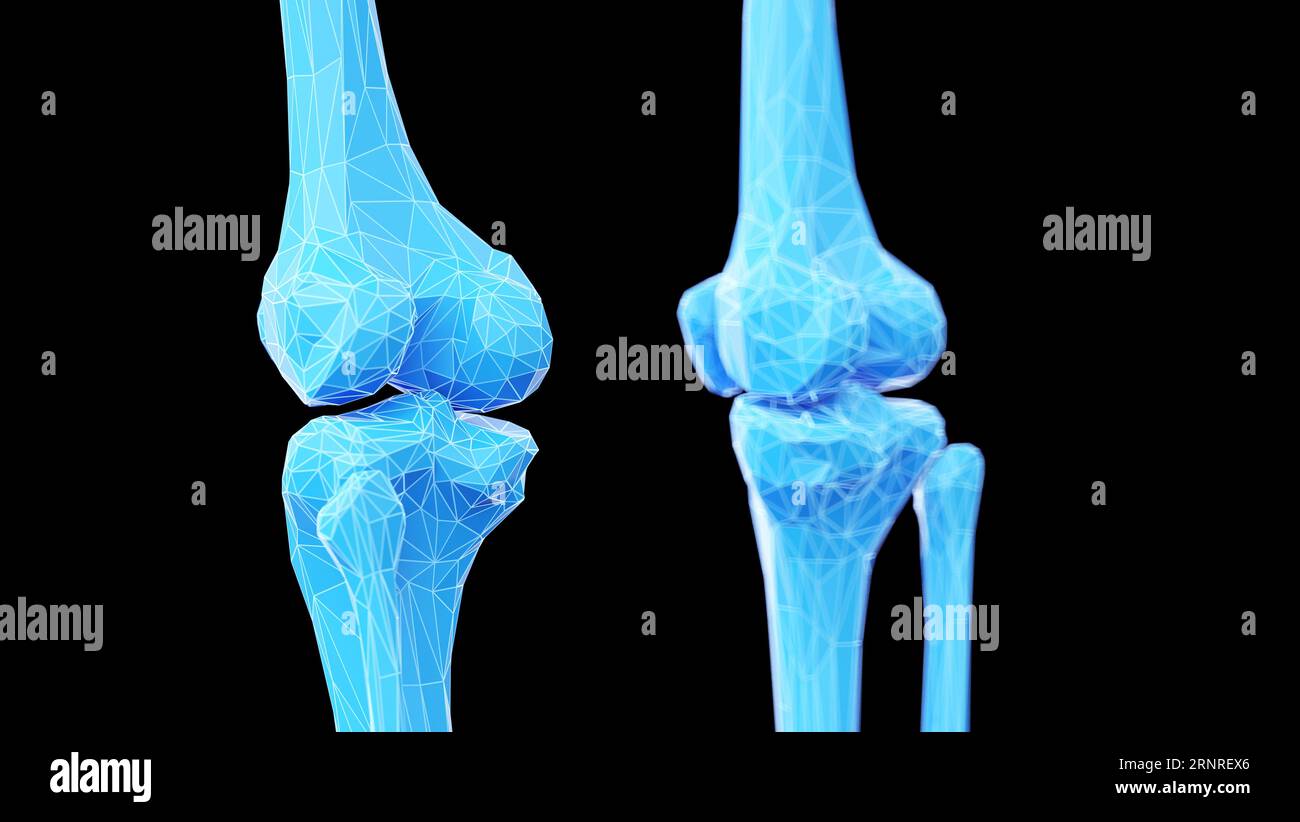 OS du genou, illustration Banque D'Images