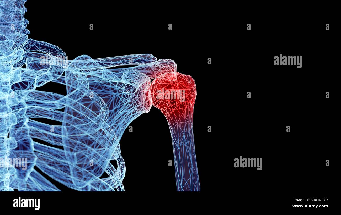 OS de l'épaule, illustration Banque D'Images
