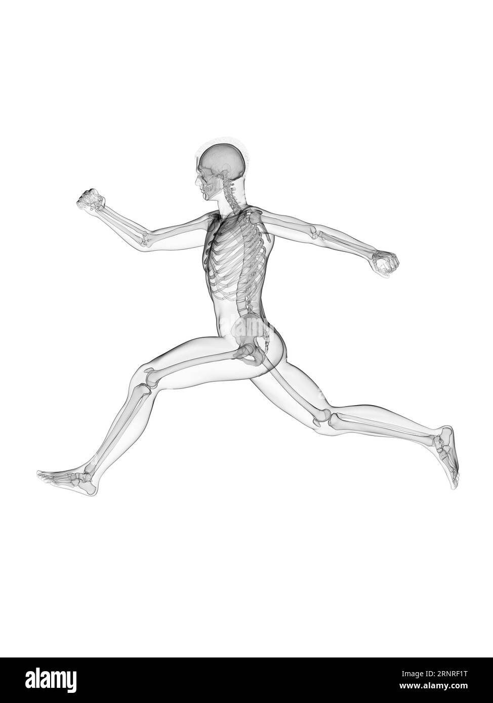 Homme courant, illustration Banque D'Images