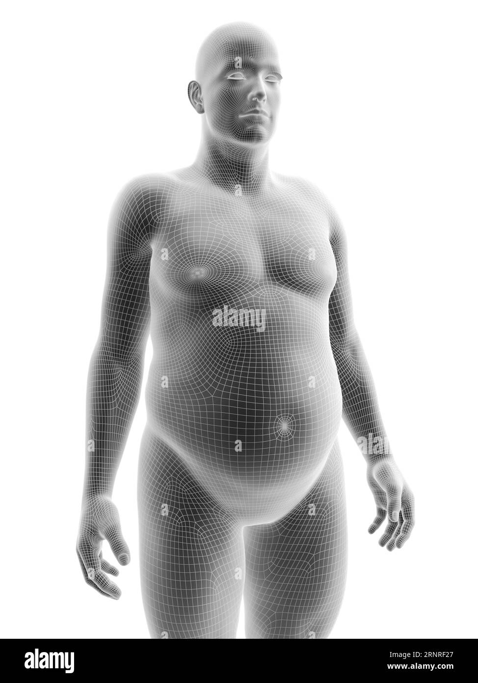 Corps masculin obèse, illustration Banque D'Images