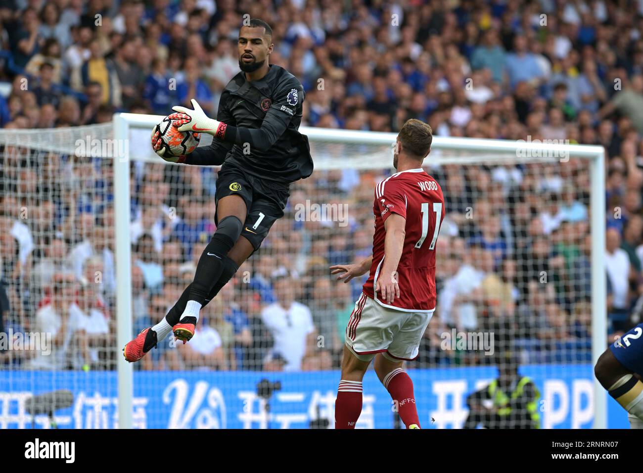 Londres, Royaume-Uni. 2 septembre 2023. Robert Sanchez Goalkeeper de Chelsea arrête Chris Wood de Nottingham Forest lors du match Chelsea vs Nottingham Forest Premier League à Stamford Bridge London Credit : MARTIN DALTON/Alamy Live News Banque D'Images