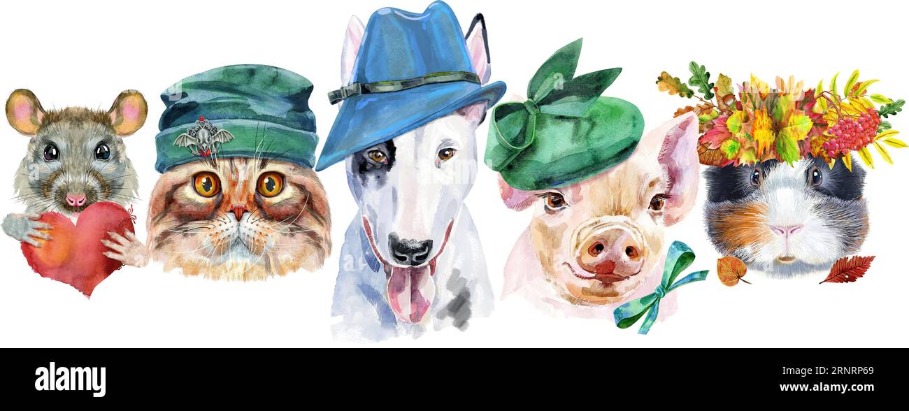 Bordure pour animaux de compagnie. Dessin aquarelle peint à la main, isoler clip art sur fond blanc. Conception de bannière Banque D'Images