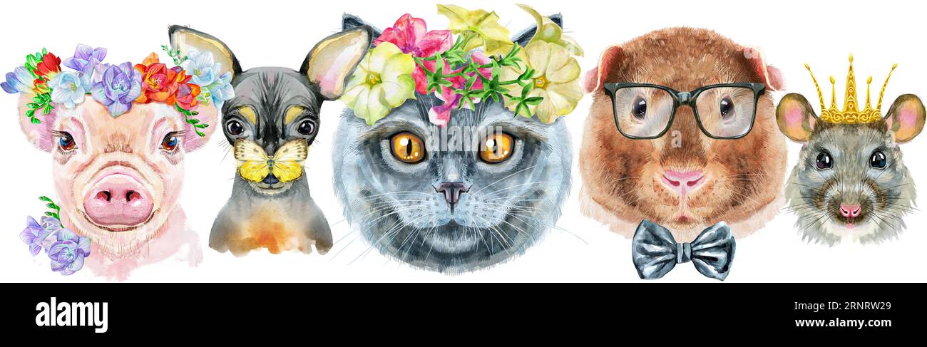 Bordure pour animaux de compagnie. Dessin aquarelle peint à la main, isoler clip art sur fond blanc. Conception de bannière Banque D'Images