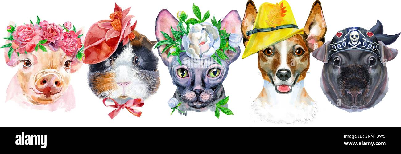 Bordure pour animaux de compagnie. Dessin aquarelle peint à la main, isoler clip art sur fond blanc. Conception de bannière Banque D'Images