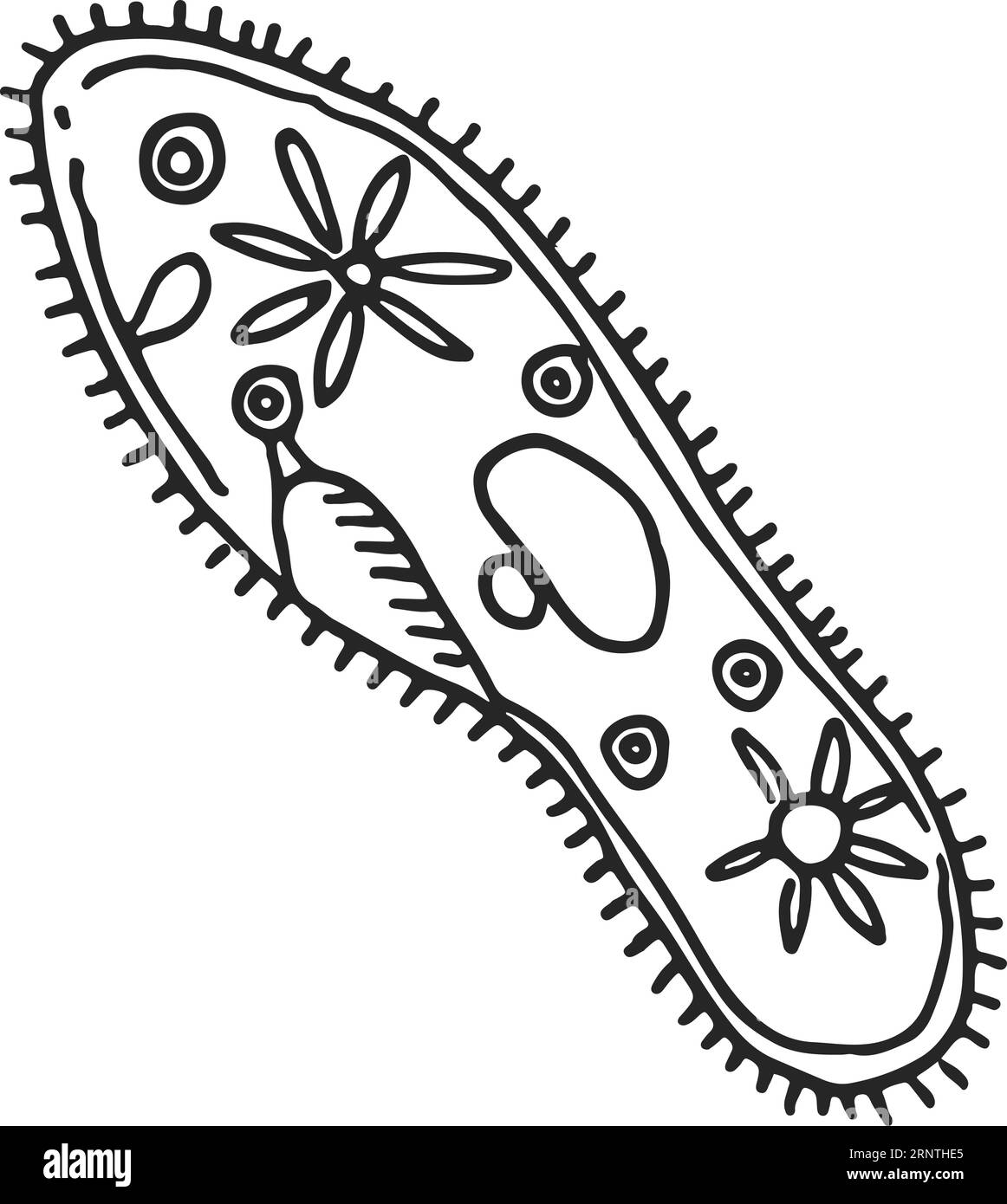 Doodle de cellules biologiques. Icône de recherche de vie primitive Illustration de Vecteur