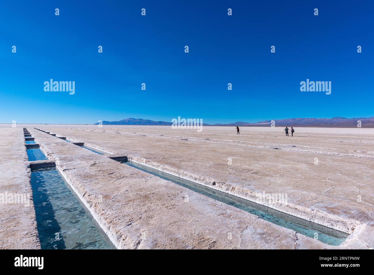 800 kilomètres carrés désert de sel Salinas grandes, poêle à sel, mines de sel, plaine, montagnes, lithium, matière première, précieux, métal léger, chlorure de sodium Banque D'Images