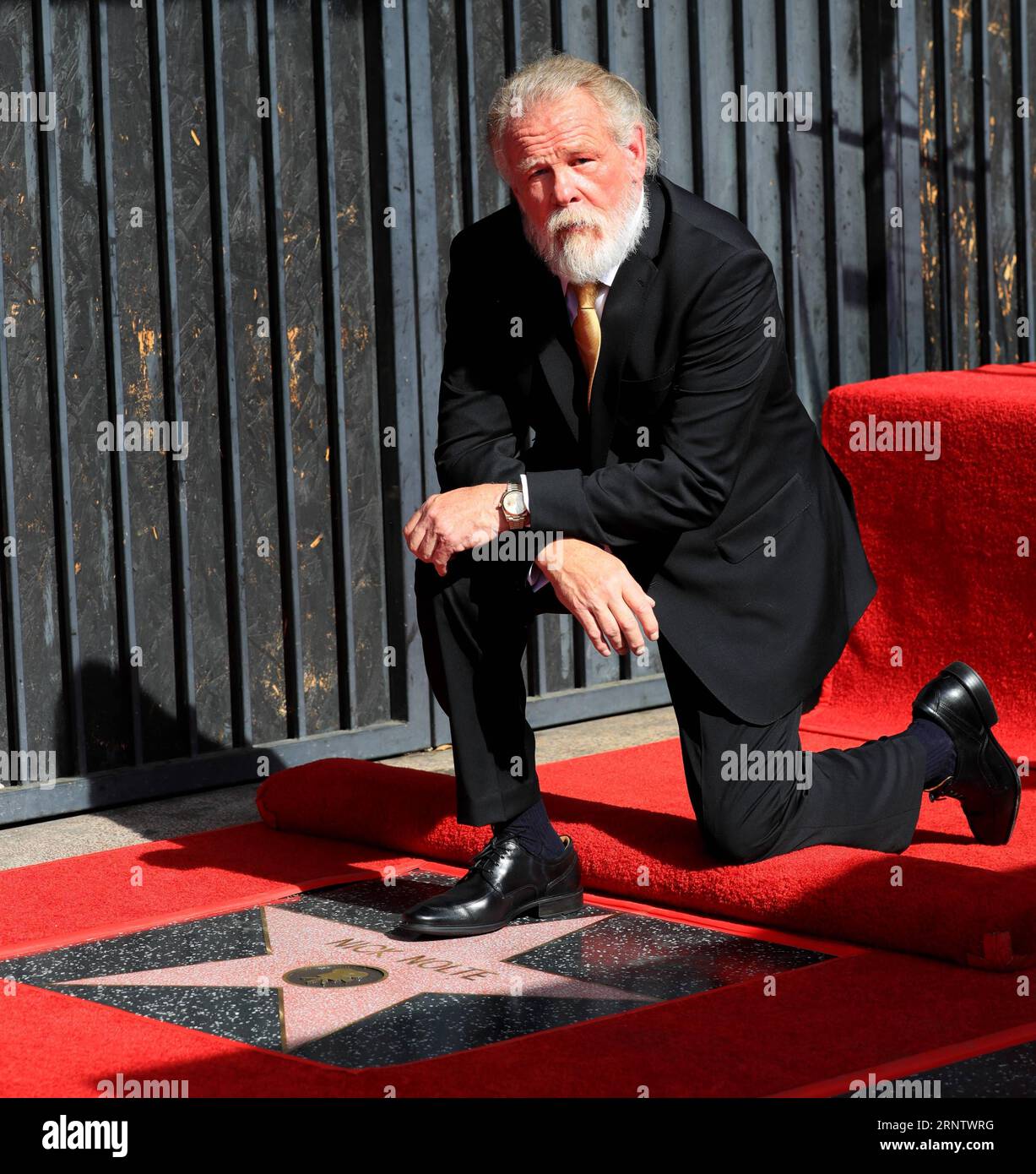 171121 -- LOS ANGELES, le 21 novembre 2017 -- l'acteur Nick Nolte pose pour des photos avec son étoile lors de sa cérémonie d'honneur des étoiles sur le Hollywood Walk of Fame à Los Angeles, aux États-Unis, le 20 novembre 2017. Nick Nolte a reçu une étoile sur le Hollywood Walk of Fame lundi. YY U.S.-LOS ANGELES-HOLLYWOOD-NICK NOLTE LixYing PUBLICATIONxNOTxINxCHN Banque D'Images