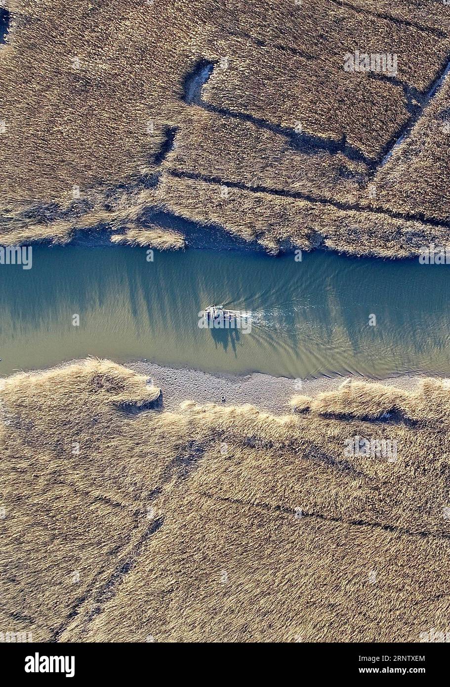 (171122) -- TIANJIN, 22 novembre 2017 -- la photo prise le 22 novembre 2017 montre les paysages du début de l'hiver de la zone humide de Qilihai dans le nord de la Chine à Tianjin. (Lb) CHINA-TIANJIN-WETLANDS-SCENERY (CN) YuexYuewei PUBLICATIONxNOTxINxCHN Banque D'Images