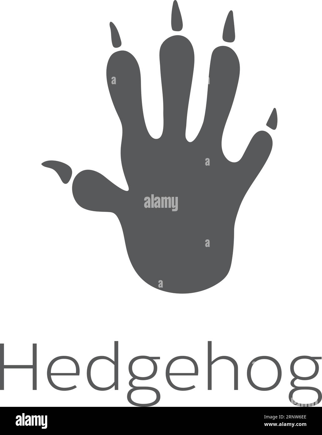Empreinte de hérisson. Trace d'animal sauvage. Timbre noir Illustration de Vecteur