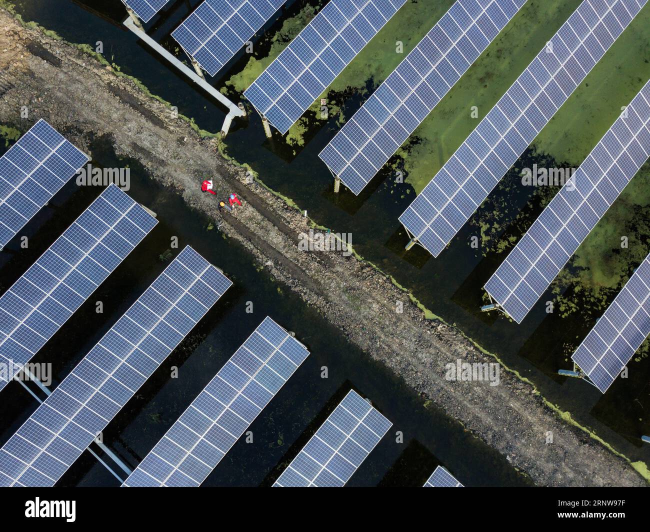 (171209) -- CHANGXING, 9 décembre 2017 -- une photo prise le 8 décembre 2017 montre des panneaux photovoltaïques dans le village de Gulong, dans le canton de Hongqiao, dans le comté de Changxing, dans la province du Zhejiang de l est de la Chine. Le projet photovoltaïque, qui couvre une superficie de 485 mu (32 hectares) avec une production énergétique estimée à 19 millions de kwh chaque année, a commencé à alimenter le réseau local. (dhf) CHINE-ZHEJIANG-ÉNERGIE SOLAIRE-ÉLECTRICITÉ (CN) XuxYu PUBLICATIONxNOTxINxCHN Banque D'Images